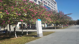 港珠澳大桥穿梭巴士香港往珠海方向班次紧急调整